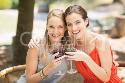 Happy friends toasting wine glasses