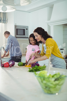 Mother and daughter chopping vegetables in kitchen