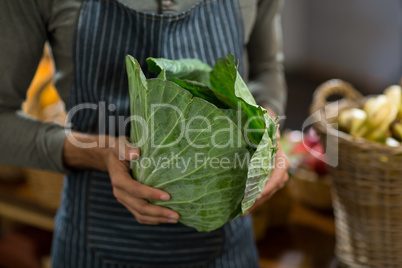 Vendor holding cabbage at the grocery store