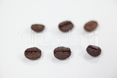 Roasted coffee beans