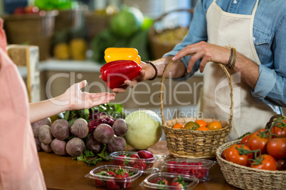 Vendor giving bell pepper to the woman at the grocery store
