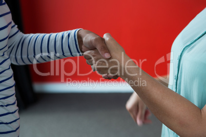 Women shaking hands each other in office