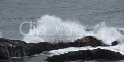 Seashore of the Atlantic Ocean