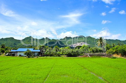 Grass hill and blue sky, Thailand