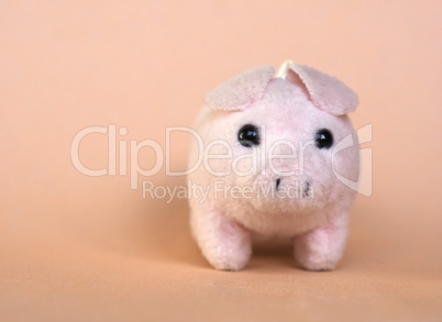 pink toy pig