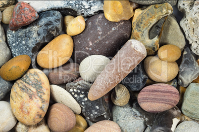 Donnerkeil und verschiedene Steine vom Strand
