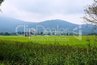 Landschaft im Kochelseemoos