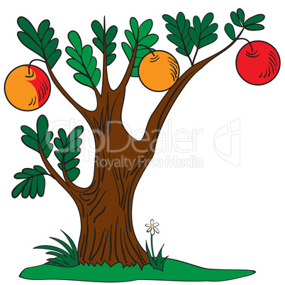 Tree with apples