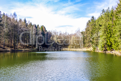 Lake in the forest