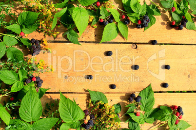 black raspberry with berries and leaves on the boards