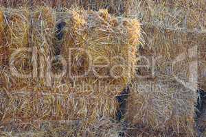 straw stacked in bales