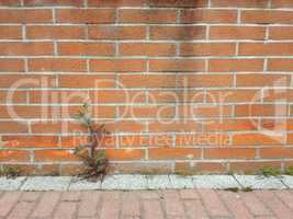 red brick wall background with copy space