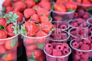 Raspberries and strawberries in containers for sale.