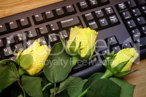 Yellow rose on computer keyboard.