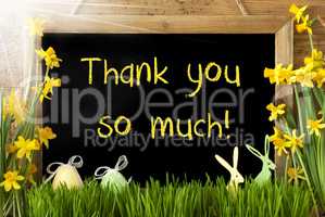 Sunny Narcissus, Easter Egg, Bunny, Text Thank You So Much
