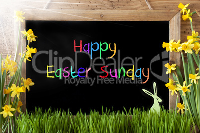 Sunny Narcissus, Bunny, Colorful Text Happy Easter Sunday