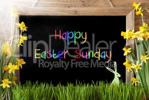 Sunny Narcissus, Bunny, Colorful Text Happy Easter Sunday