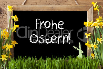 Narcissus, Bunny, Frohe Ostern Means Happy Easter