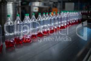 Bottles of juice on conveyer belt
