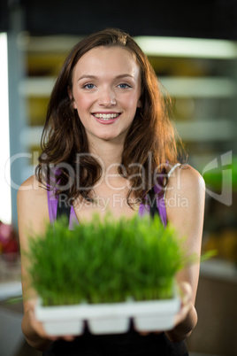 Shop assistant holding a tray of herbs in health grocery shop