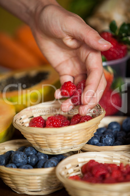 Hand of male staff holding raspberries