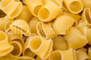 Lumache rigate pasta