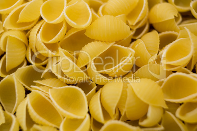 Raw conchiglie pasta