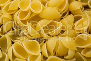 Raw conchiglie pasta