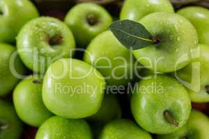 Green apples with water droplets