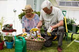 Senior couple gardening together