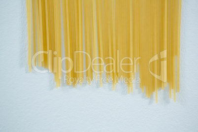 Spaghetti pasta on white background