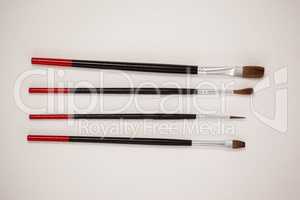 Paint brushes against white background