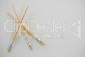 Paintbrushes arranged on white background