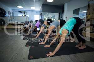 Women performing stretching exercise on exercise mat