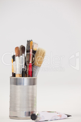 Varieties of paint brushes in metallic jar and tube color