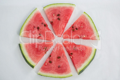 Slices of watermelon arranged on white background