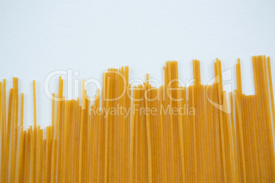 Spaghetti pasta on white background