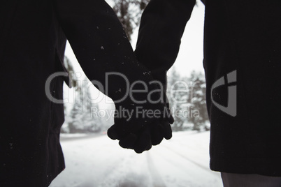 Couple holding hands in forest