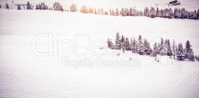 Snow covered landscape during winter