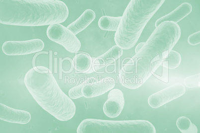 Digital image of red bacteria