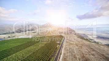 Scenic view of agricultural field