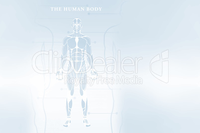 Human body over white background