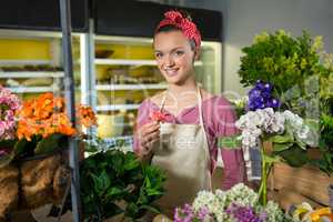 Female florist holding flower in flower shop