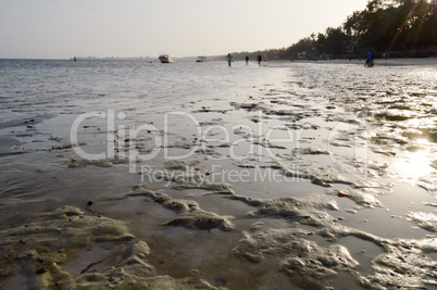 Sunset on the sand of Bamnuri