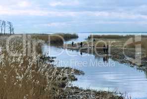 fishing, fishermen, sunrise, sunset, Delta, estuary, fish, fish, hobby, holiday, nature