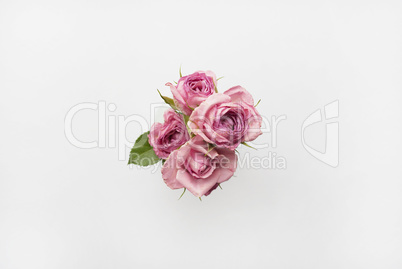 Bouquet of pink roses on a white background. Top view