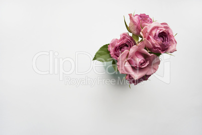 Vase with a bouquet of pink roses on a white background with the place for your text. Flat lay