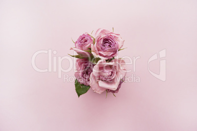 Bouquet of pink roses on a pink background. Top view