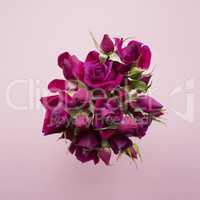 Bouquet of purple roses on a pink background. Flat lay