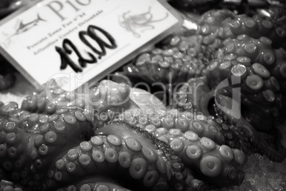 frischer Oktopus auf Fischmarkt Venedig in schwarzweiß